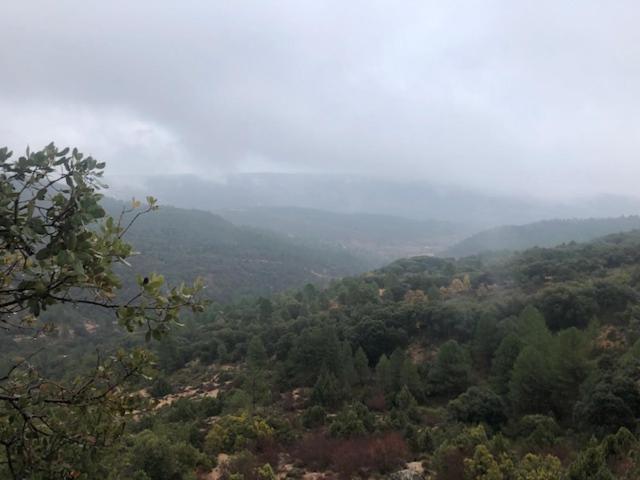 Casa Rural La Labranza Sacedón المظهر الخارجي الصورة